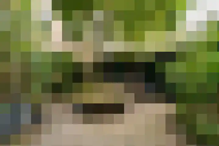 Eerste Boerhaavestraat 8 G Amsterdam thumbnail 28