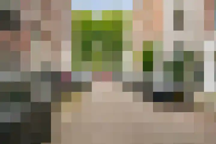 Eerste Boerhaavestraat 8 G Amsterdam thumbnail 32
