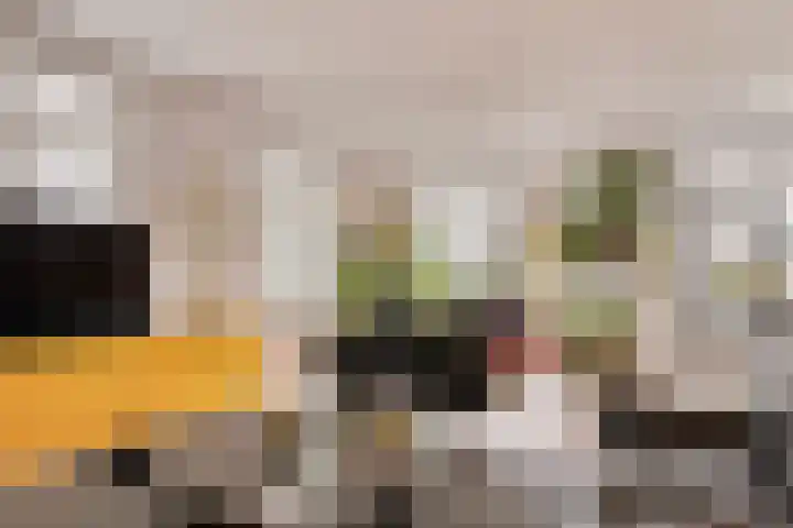 Eerste Boerhaavestraat 8 G Amsterdam thumbnail 6