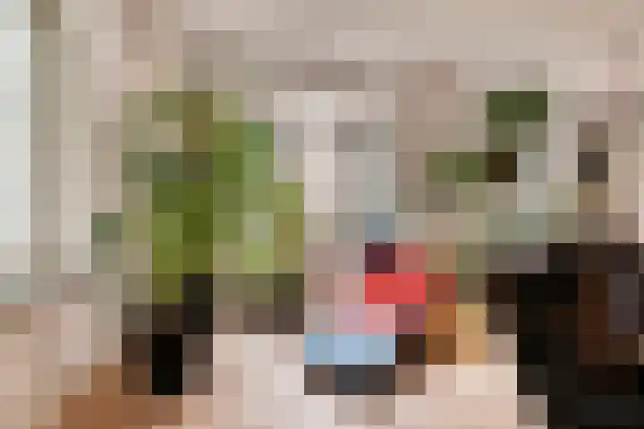 Eerste Boerhaavestraat 8 G Amsterdam thumbnail 7