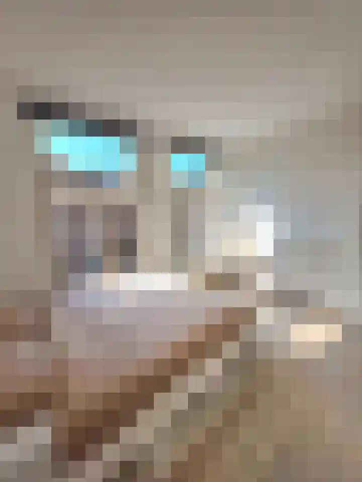 Eerste Boerhaavestraat 9 2 Amsterdam thumbnail 10