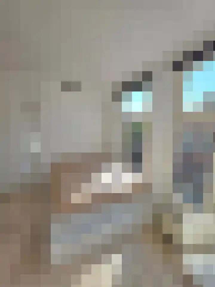 Eerste Boerhaavestraat 9 2 Amsterdam thumbnail 11