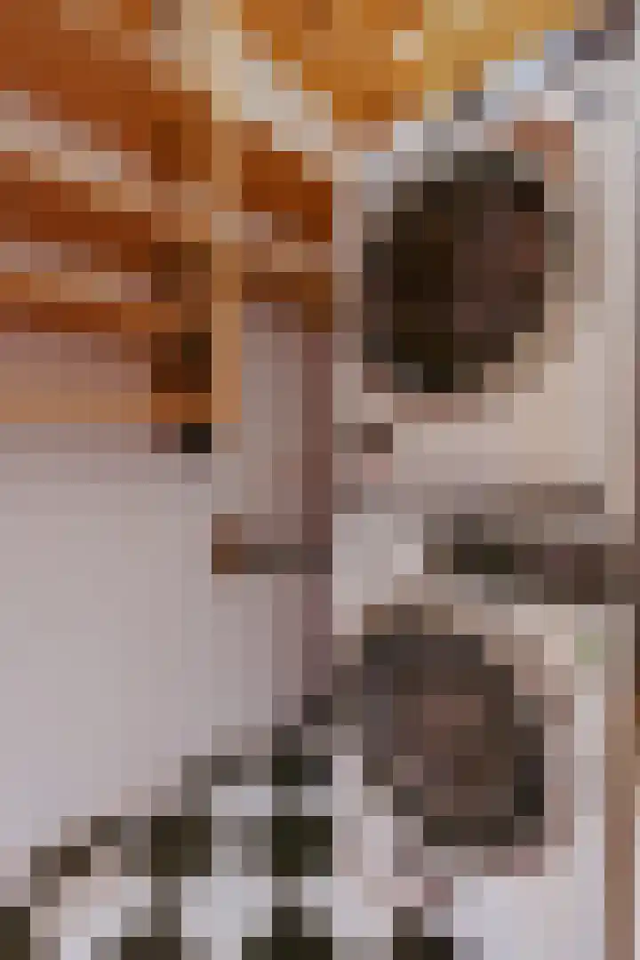 Eerste Boerhaavestraat 9 2 Amsterdam thumbnail 17