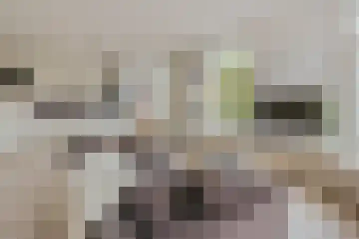 Eerste Boerhaavestraat 9 2 Amsterdam thumbnail 5