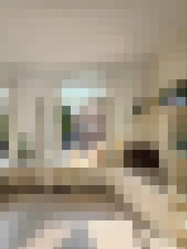 Eerste Boerhaavestraat 9 2 Amsterdam thumbnail 6