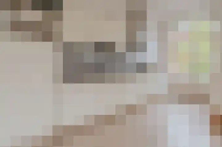 Eerste Boerhaavestraat 9 2 Amsterdam thumbnail 8