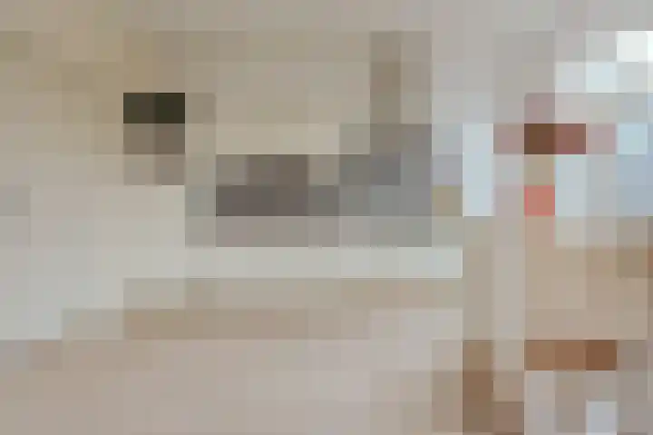 Eerste Boerhaavestraat 9 2 Amsterdam thumbnail 9