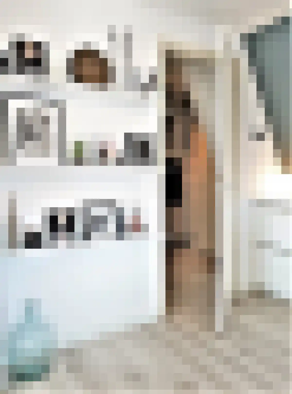 Eerste Boerhaavestraat 9 Amsterdam thumbnail 4