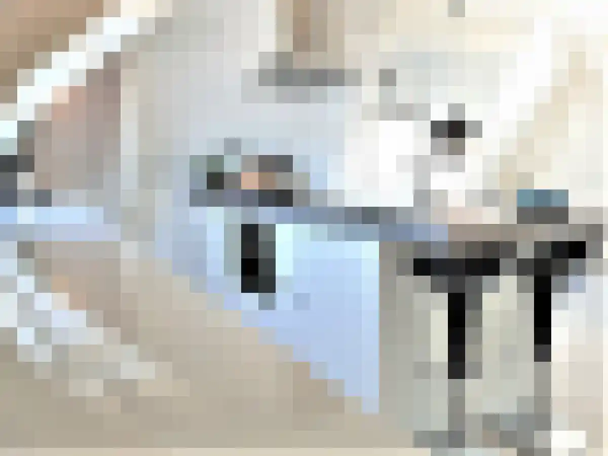 Eerste Boerhaavestraat 9 Amsterdam thumbnail 5