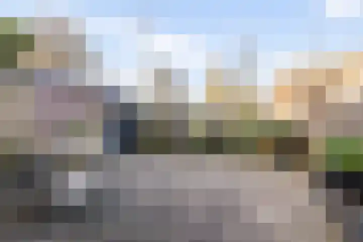 Eerste Buitenpepers 11 's-Hertogenbosch thumbnail 13