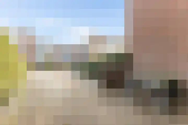 Eerste Buitenpepers 11 's-Hertogenbosch thumbnail 26