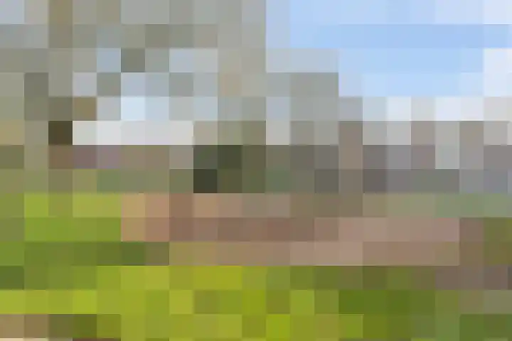 Eerste Buitenpepers 11 's-Hertogenbosch thumbnail 28