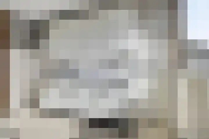 Eerste Buitenpepers 21 's-Hertogenbosch thumbnail 11