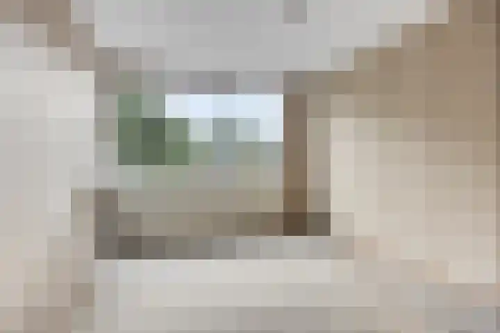 Eerste Buitenpepers 21 's-Hertogenbosch thumbnail 16