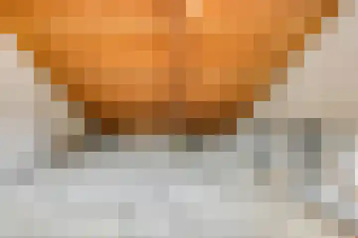 Eerste Buitenpepers 21 's-Hertogenbosch thumbnail 21