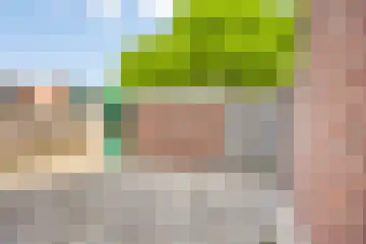 Eerste Buitenpepers 21 's-Hertogenbosch thumbnail 25