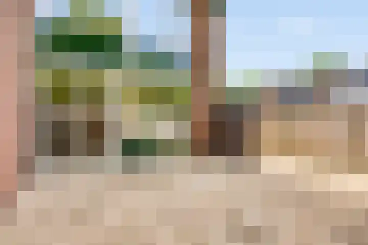 Eerste Buitenpepers 21 's-Hertogenbosch thumbnail 26