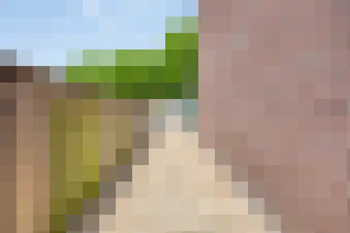 Eerste Buitenpepers 21 's-Hertogenbosch thumbnail 27