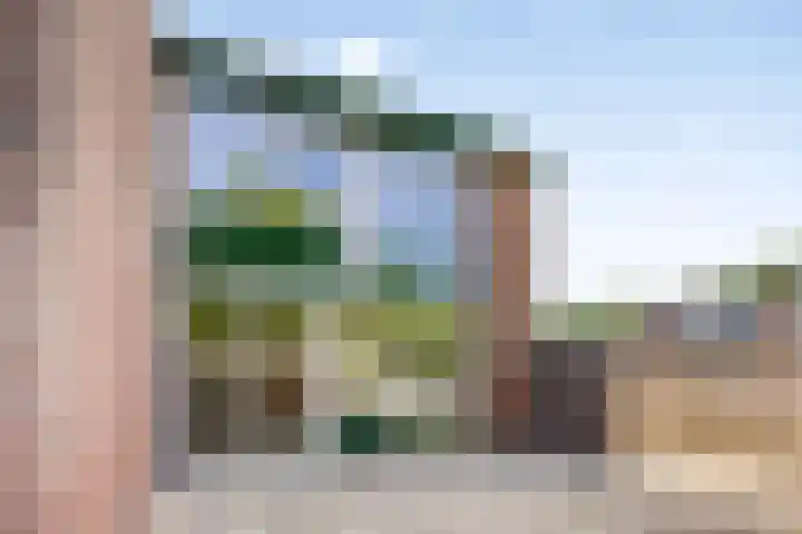 Eerste Buitenpepers 21 's-Hertogenbosch thumbnail 29