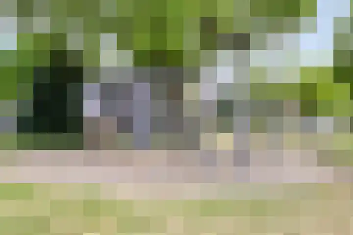 Eerste Buitenpepers 21 's-Hertogenbosch thumbnail 31