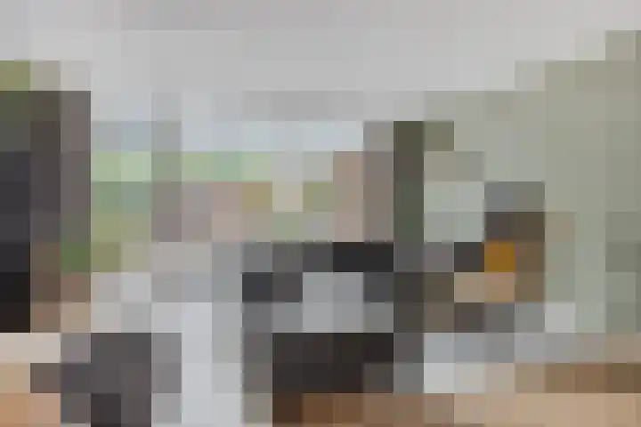 Eerste Buitenpepers 29 's-Hertogenbosch thumbnail 10