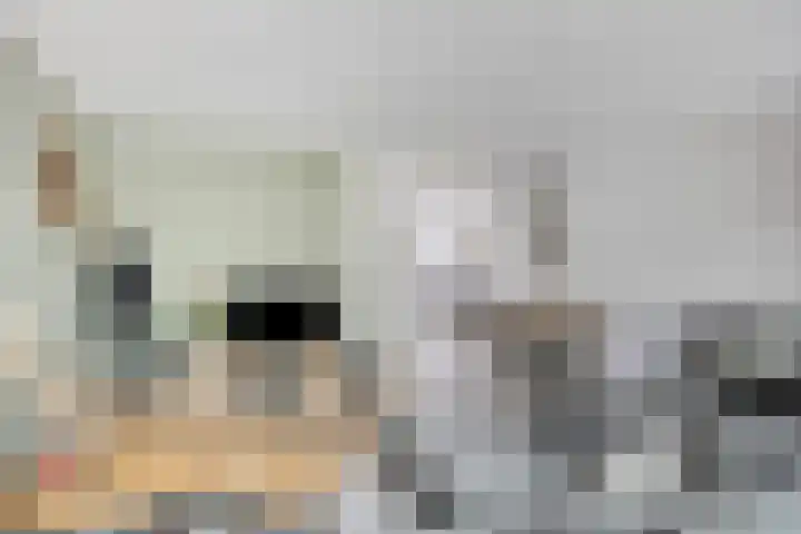 Eerste Buitenpepers 29 's-Hertogenbosch thumbnail 14