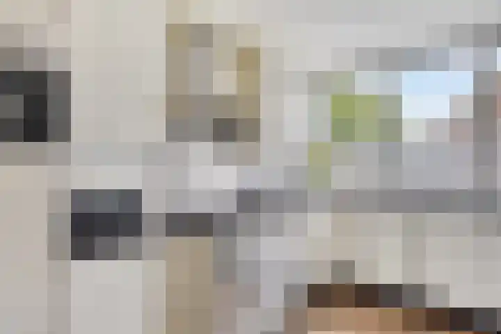 Eerste Buitenpepers 29 's-Hertogenbosch thumbnail 21