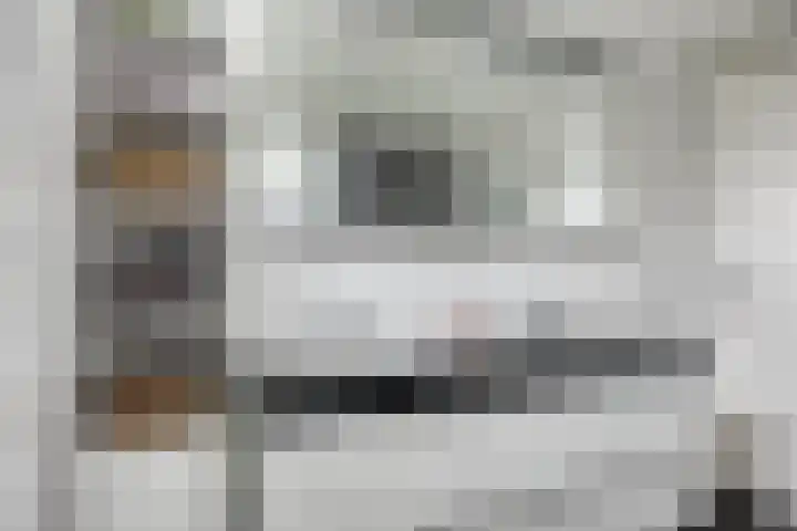 Eerste Buitenpepers 29 's-Hertogenbosch thumbnail 30