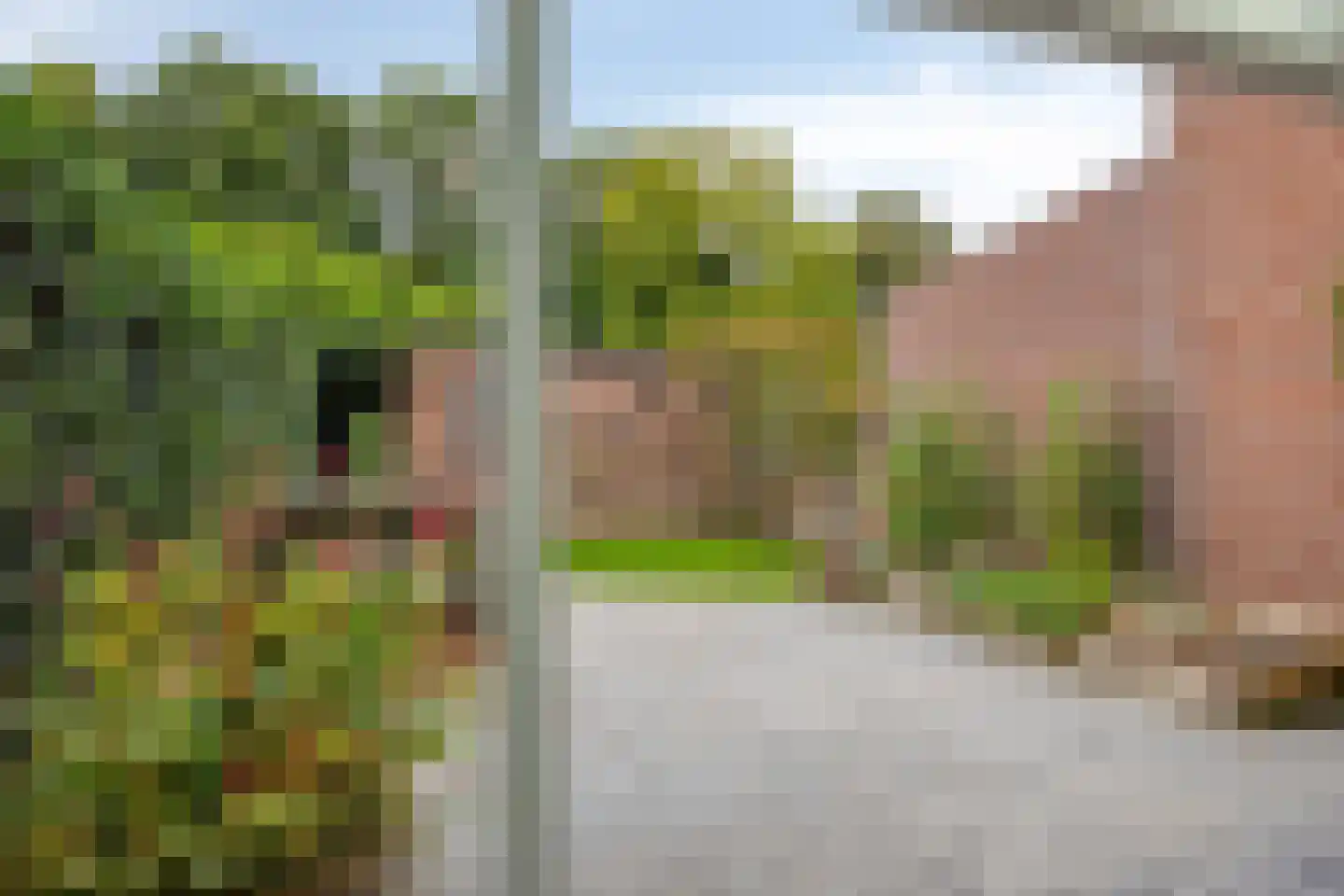 Eerste Buitenpepers 29 's-Hertogenbosch thumbnail 32