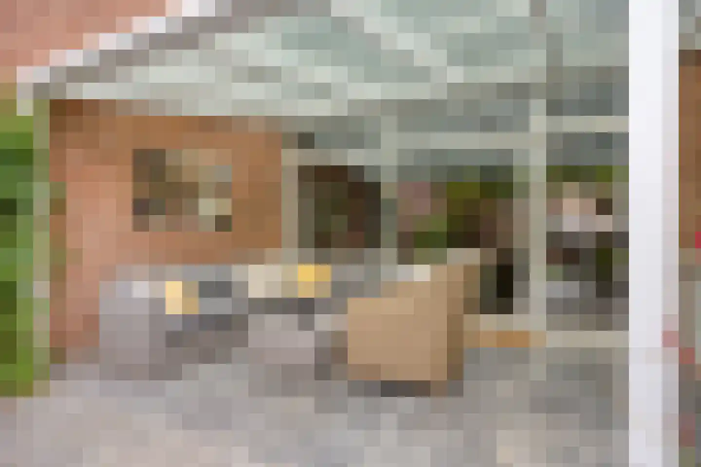 Eerste Buitenpepers 29 's-Hertogenbosch thumbnail 33