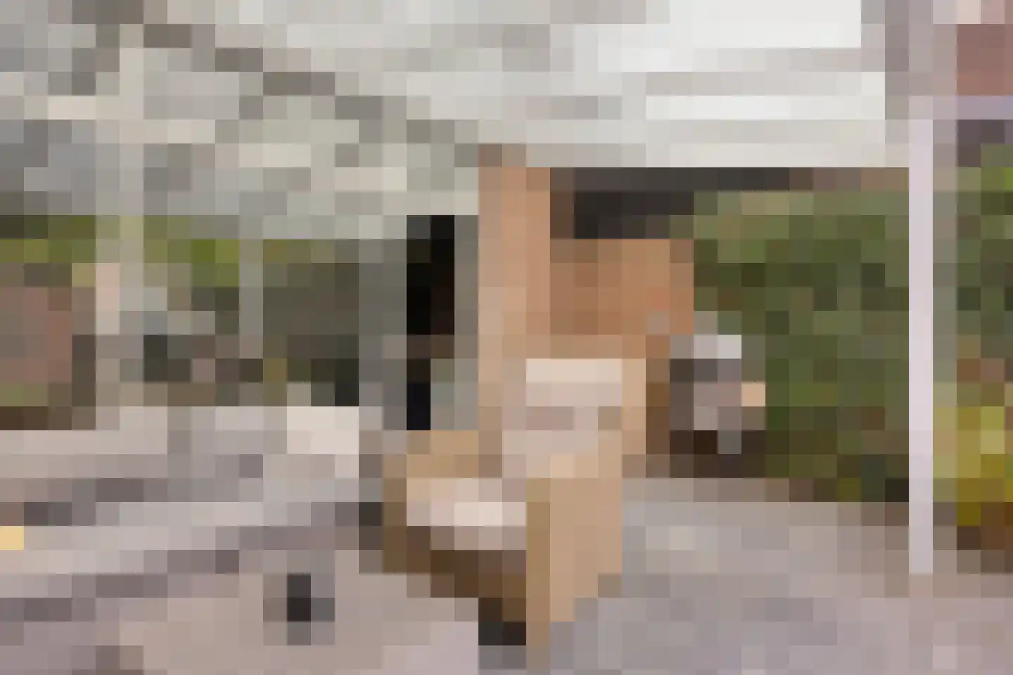 Eerste Buitenpepers 29 's-Hertogenbosch thumbnail 34