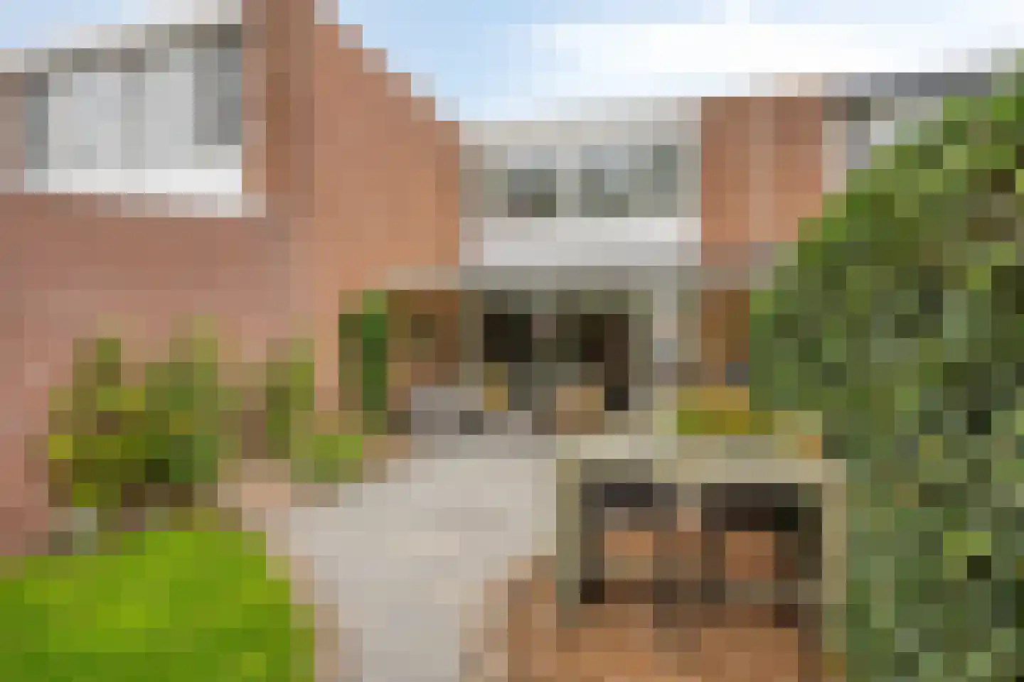 Eerste Buitenpepers 29 's-Hertogenbosch thumbnail 35