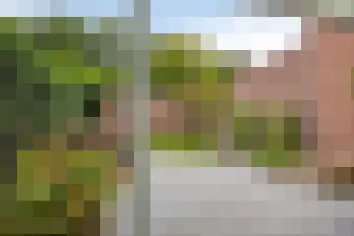 Eerste Buitenpepers 29 's-Hertogenbosch thumbnail 35