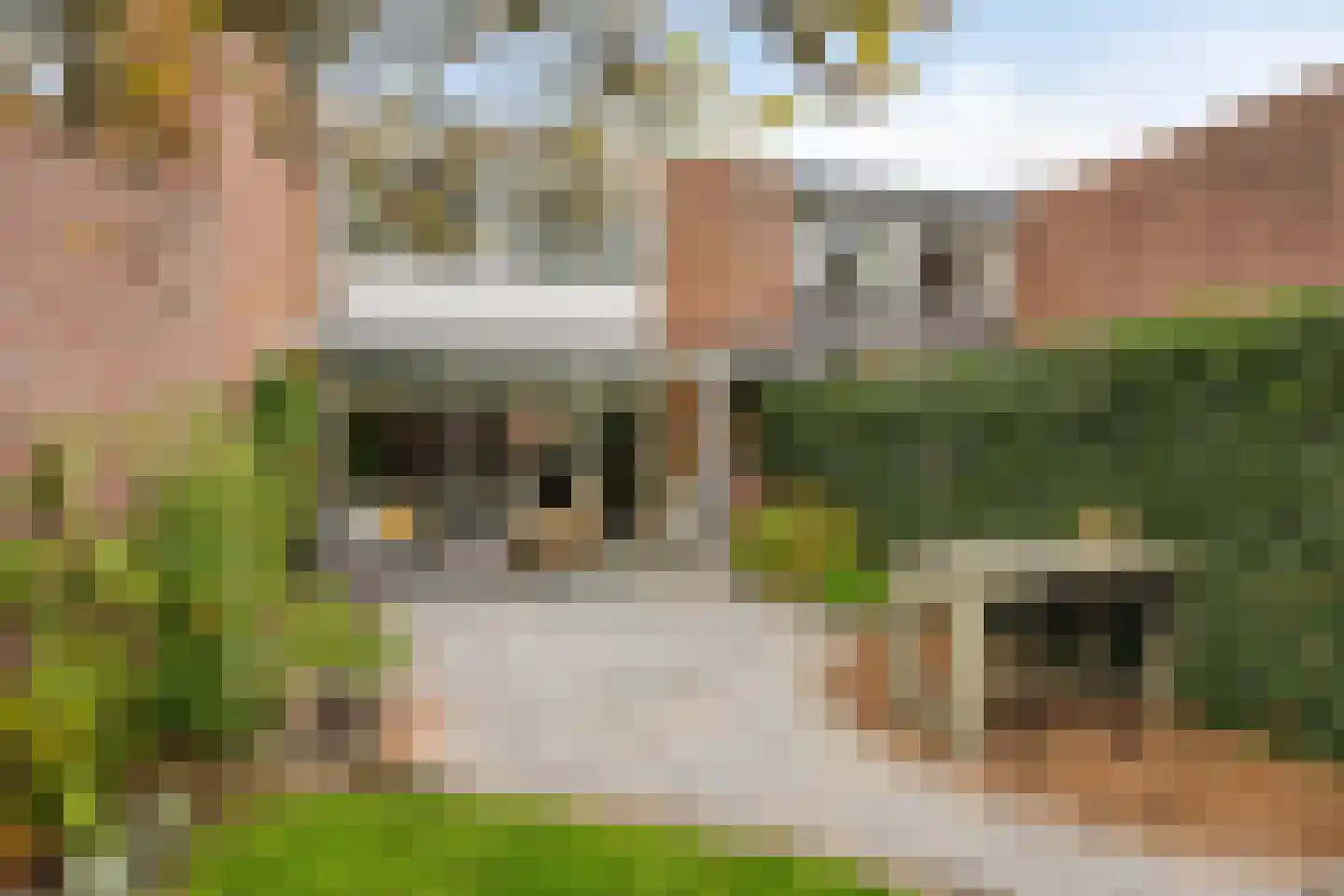 Eerste Buitenpepers 29 's-Hertogenbosch thumbnail 36