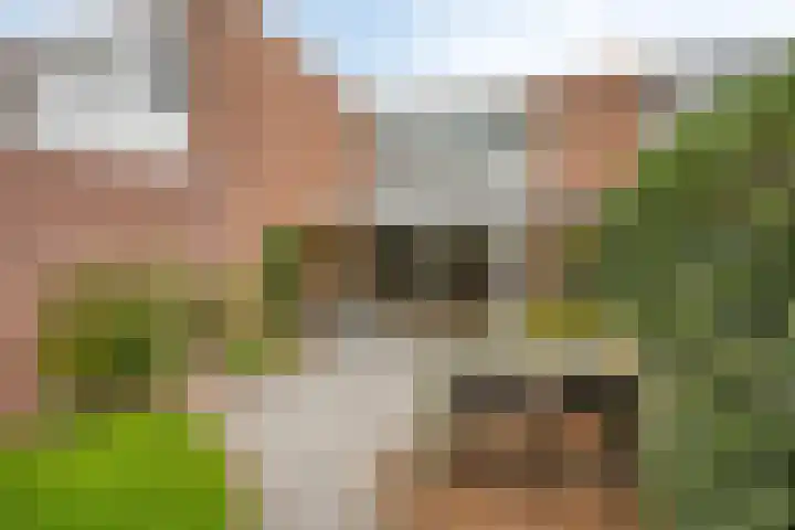 Eerste Buitenpepers 29 's-Hertogenbosch thumbnail 38