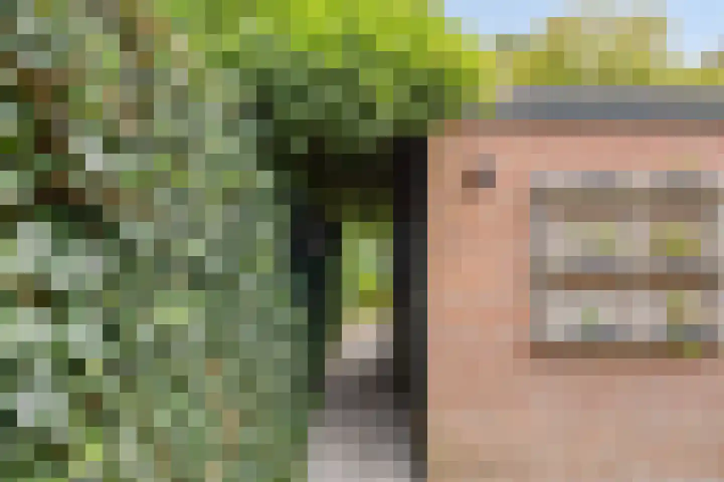Eerste Buitenpepers 29 's-Hertogenbosch thumbnail 39