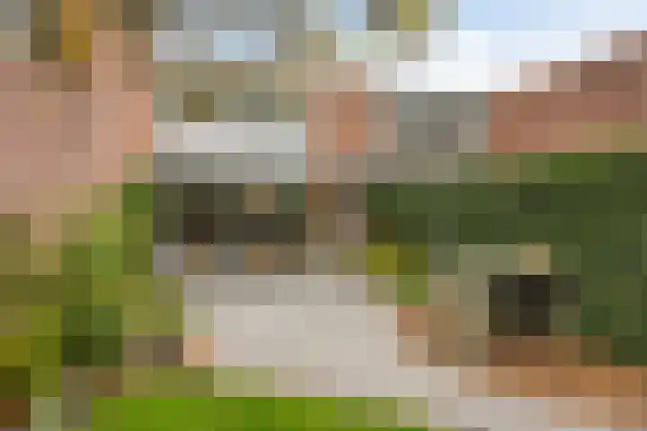 Eerste Buitenpepers 29 's-Hertogenbosch thumbnail 39