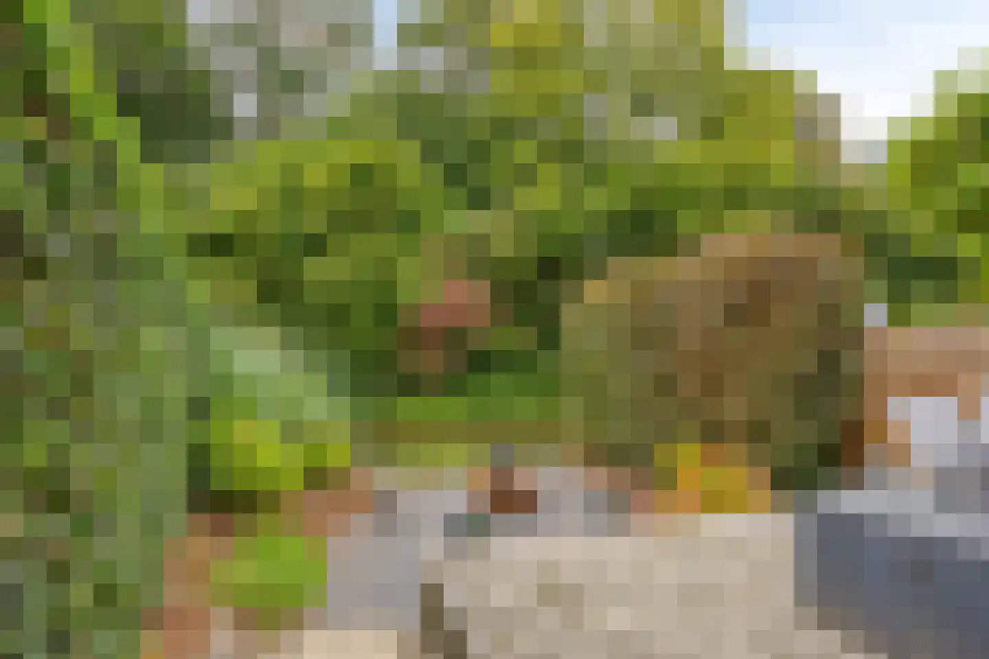 Eerste Buitenpepers 29 's-Hertogenbosch thumbnail 40
