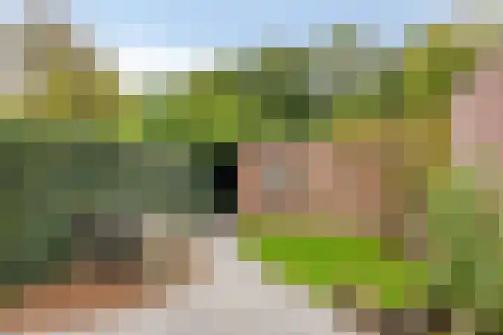 Eerste Buitenpepers 29 's-Hertogenbosch thumbnail 40