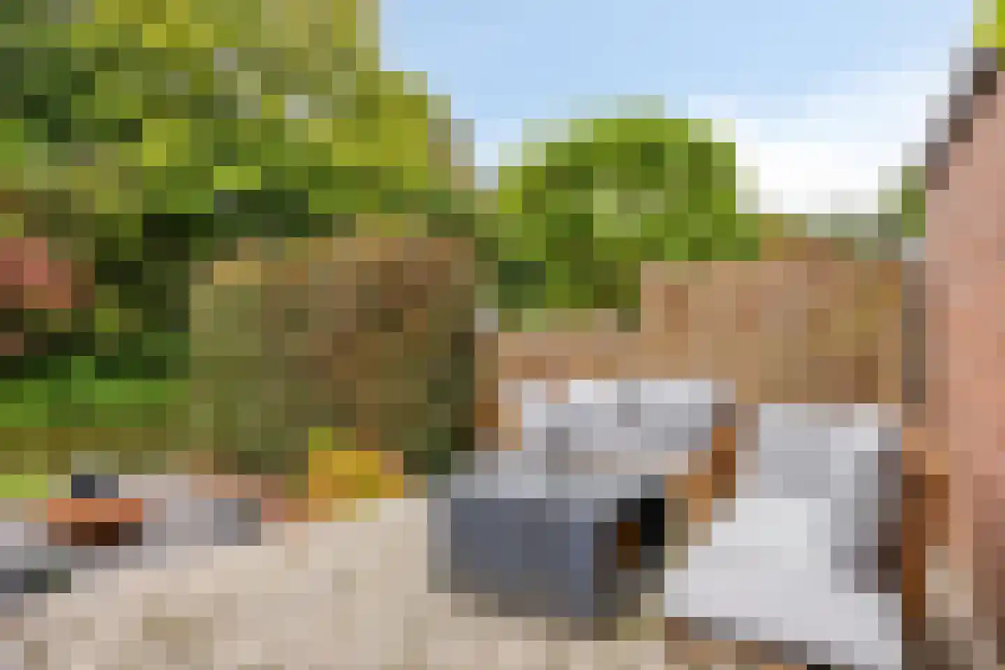 Eerste Buitenpepers 29 's-Hertogenbosch thumbnail 41