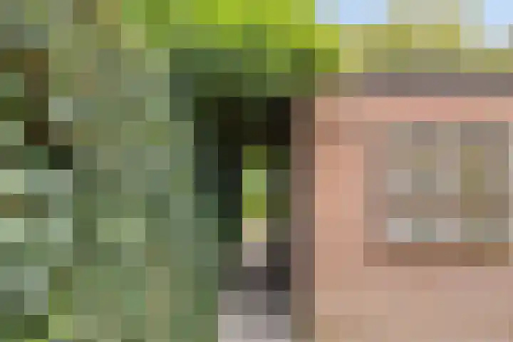 Eerste Buitenpepers 29 's-Hertogenbosch thumbnail 42