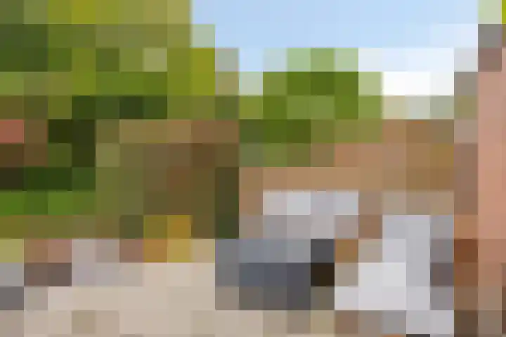 Eerste Buitenpepers 29 's-Hertogenbosch thumbnail 44