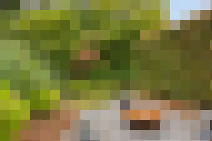 Eerste Buitenpepers 29 's-Hertogenbosch thumbnail 45