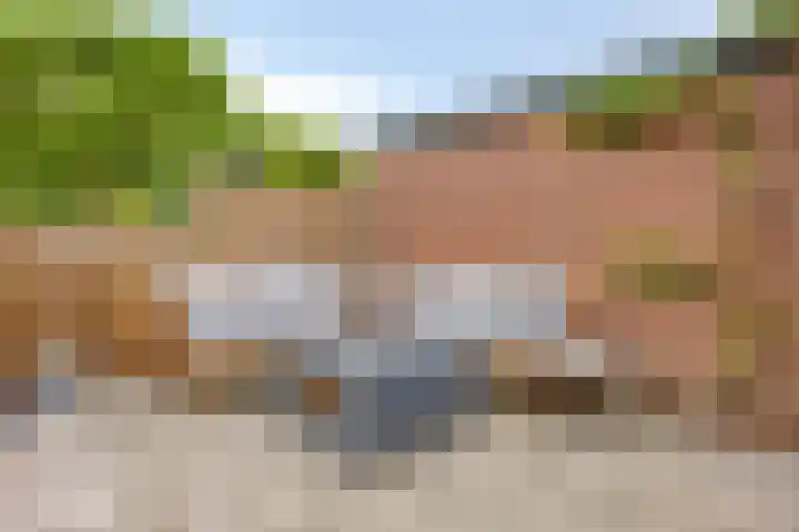 Eerste Buitenpepers 29 's-Hertogenbosch thumbnail 47