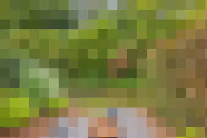 Eerste Buitenpepers 29 's-Hertogenbosch thumbnail 48
