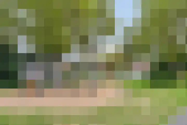 Eerste Buitenpepers 29 's-Hertogenbosch thumbnail 49