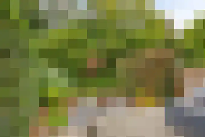 Eerste Buitenpepers 29 's-Hertogenbosch thumbnail 5