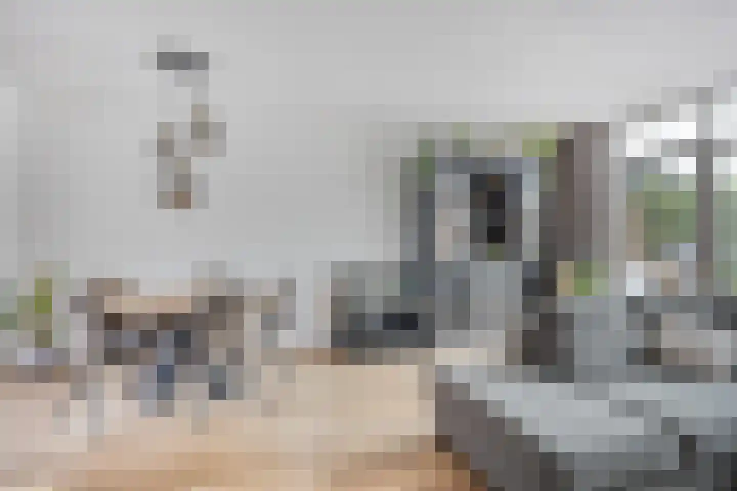 Eerste Buitenpepers 29 's-Hertogenbosch thumbnail 9