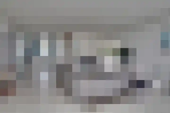 Eerste Buitenpepers 39 's-Hertogenbosch thumbnail 11