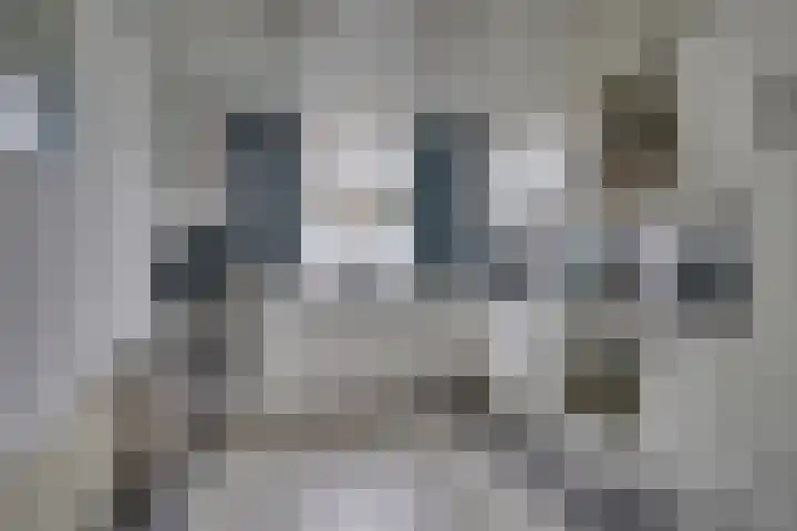 Eerste Buitenpepers 39 's-Hertogenbosch thumbnail 12